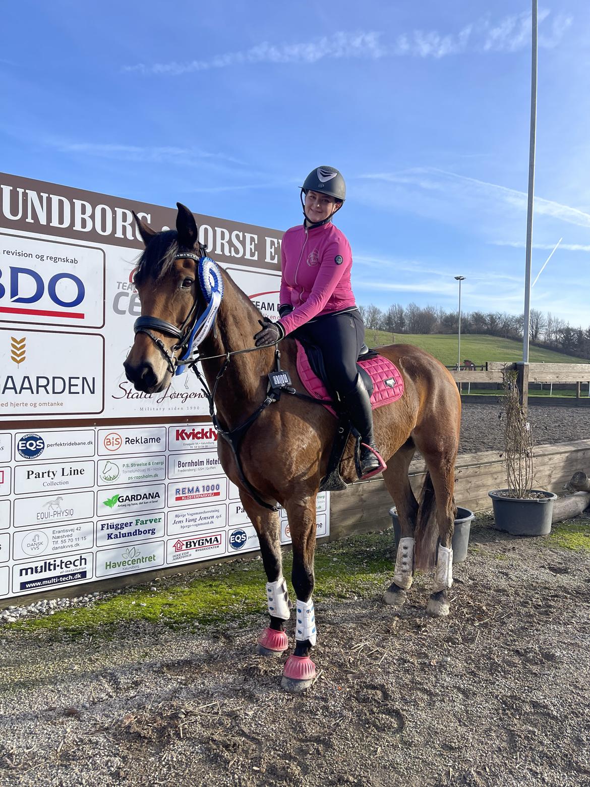 Anden særlig race Dreamer billede 8