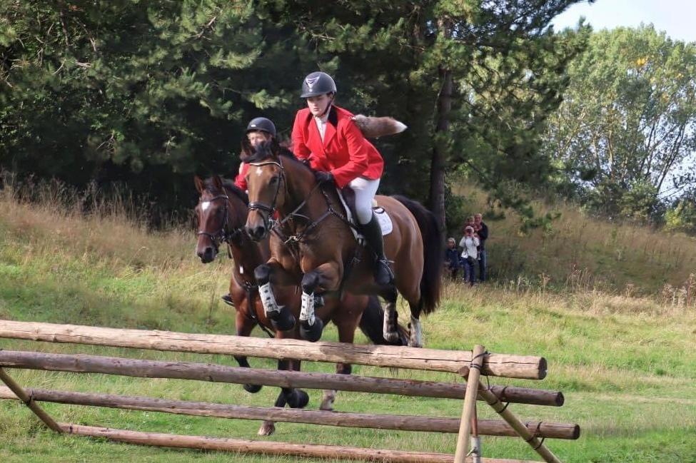 Anden særlig race Dreamer billede 10
