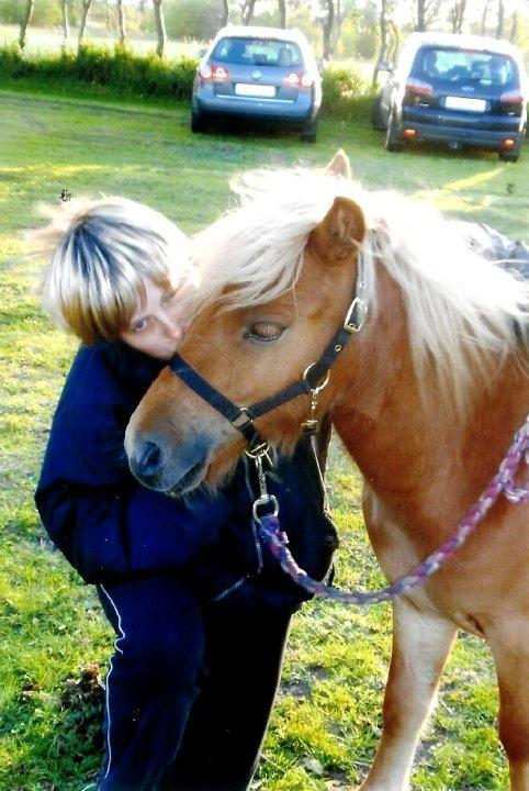 Anden særlig race Ofelia billede 9