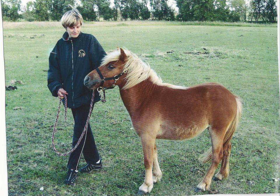 Anden særlig race Ofelia billede 18
