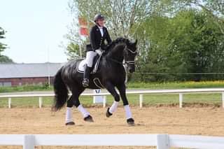 Frieser Anton fan stald barok billede 16