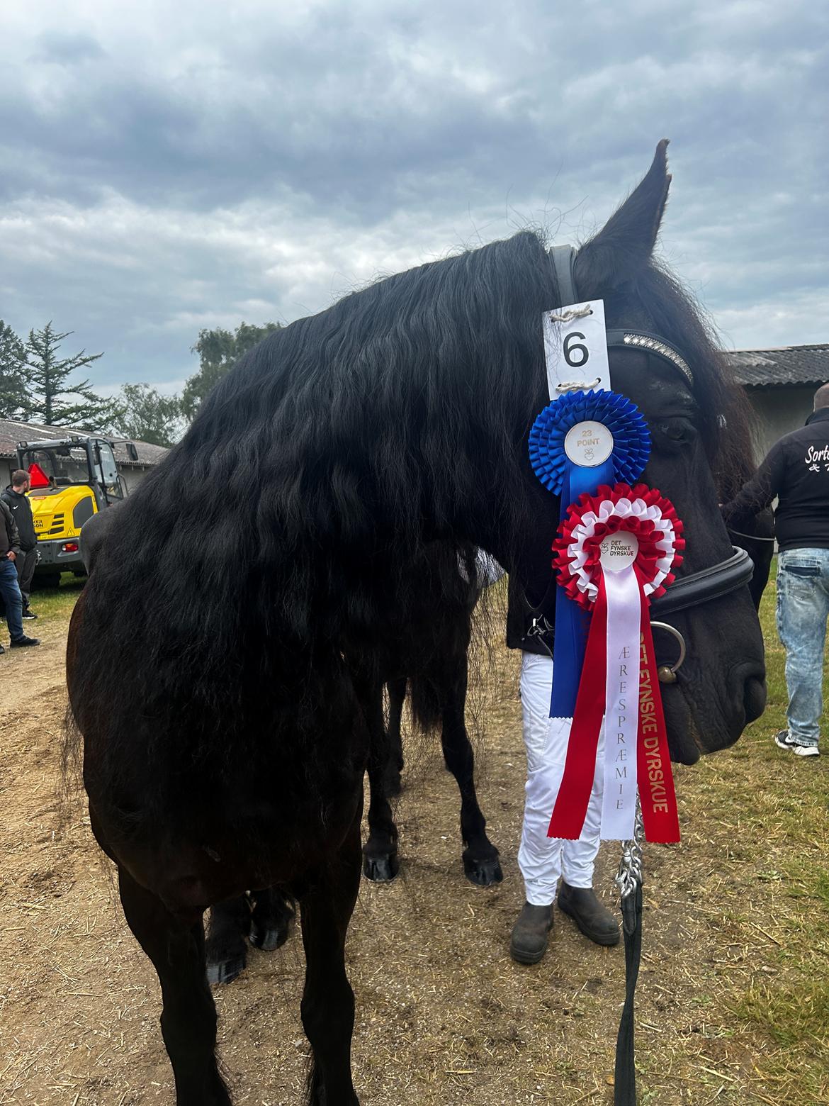 Frieser Irena J - Dyrskue 2024 billede 9