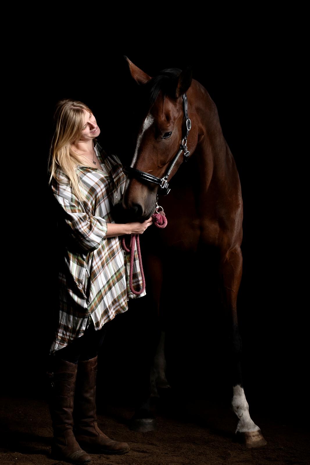 Dansk Varmblod Wibella  billede 10