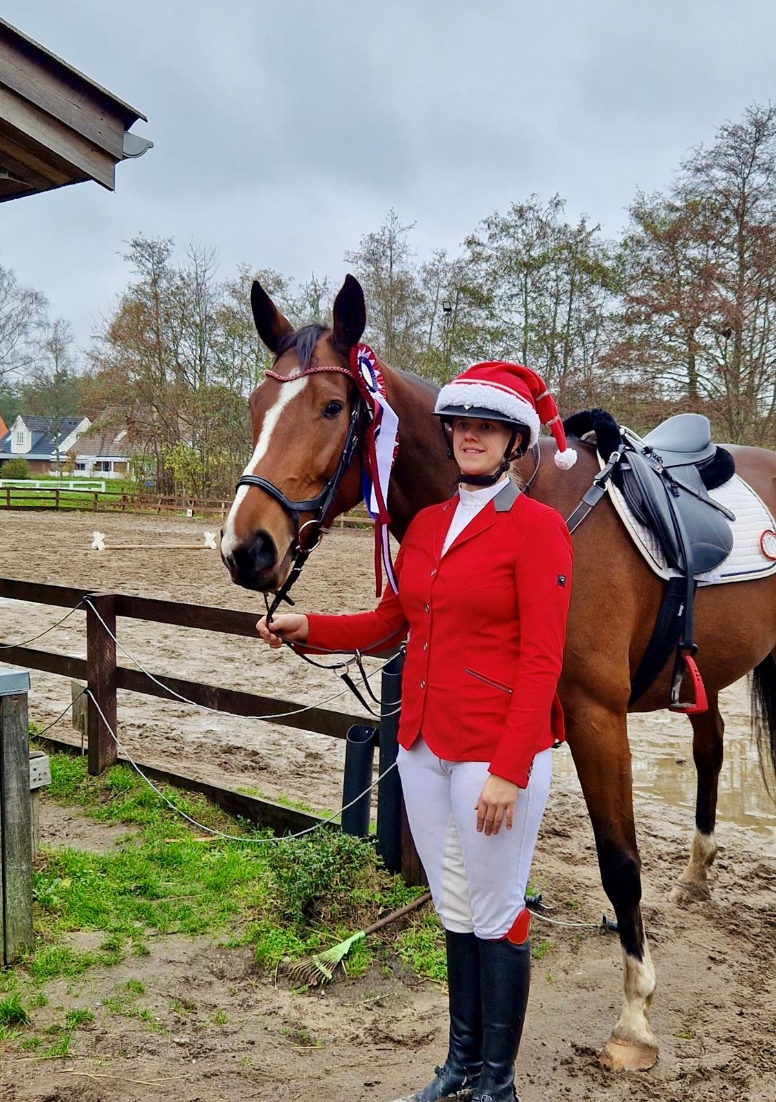 Dansk Varmblod Wibella  billede 13