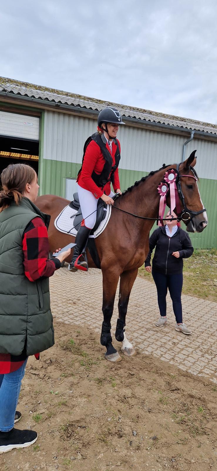 Dansk Varmblod Wibella  billede 14