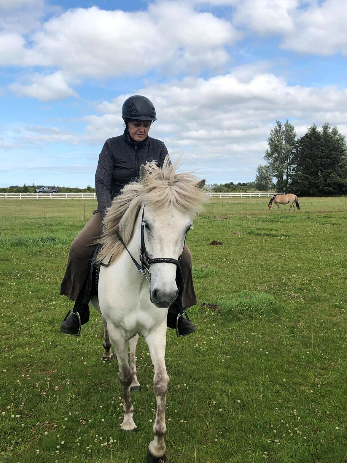 Islænder Salka Valka fra Bymosen - Billedet er fra min første sådan rigtig ridetur på Salka billede 7