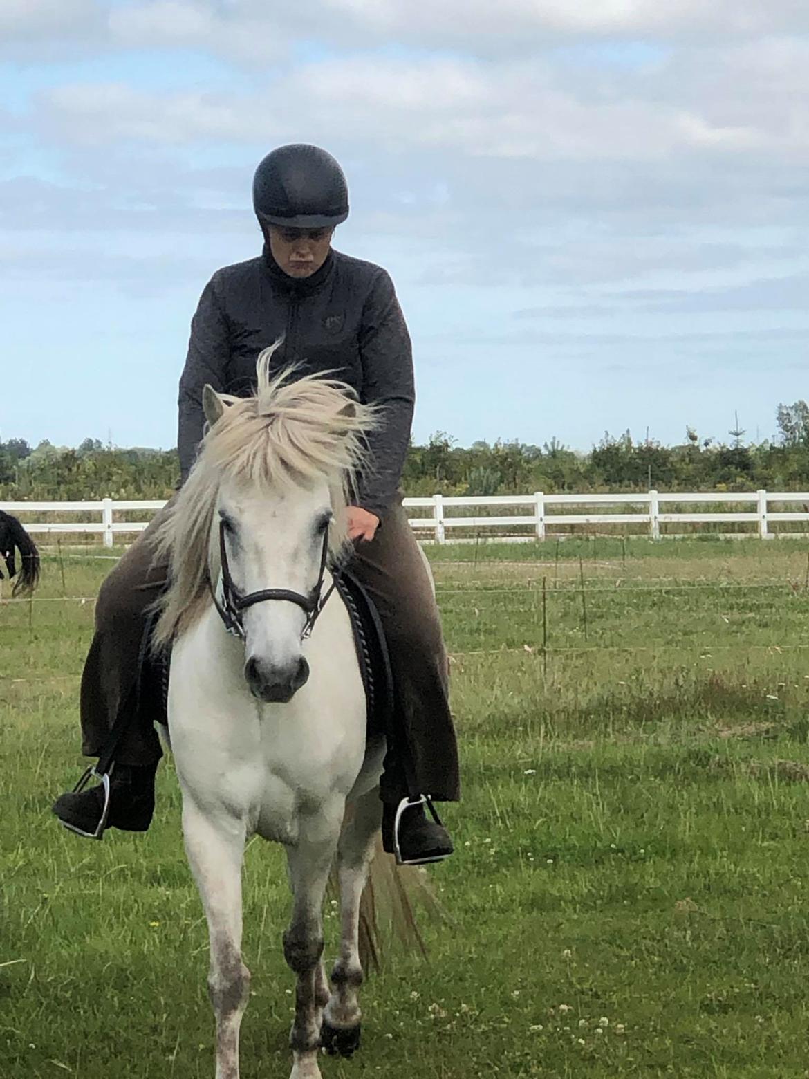 Islænder Salka Valka fra Bymosen - Billedet er fra min første sådan rigtig ridetur på Salka billede 9