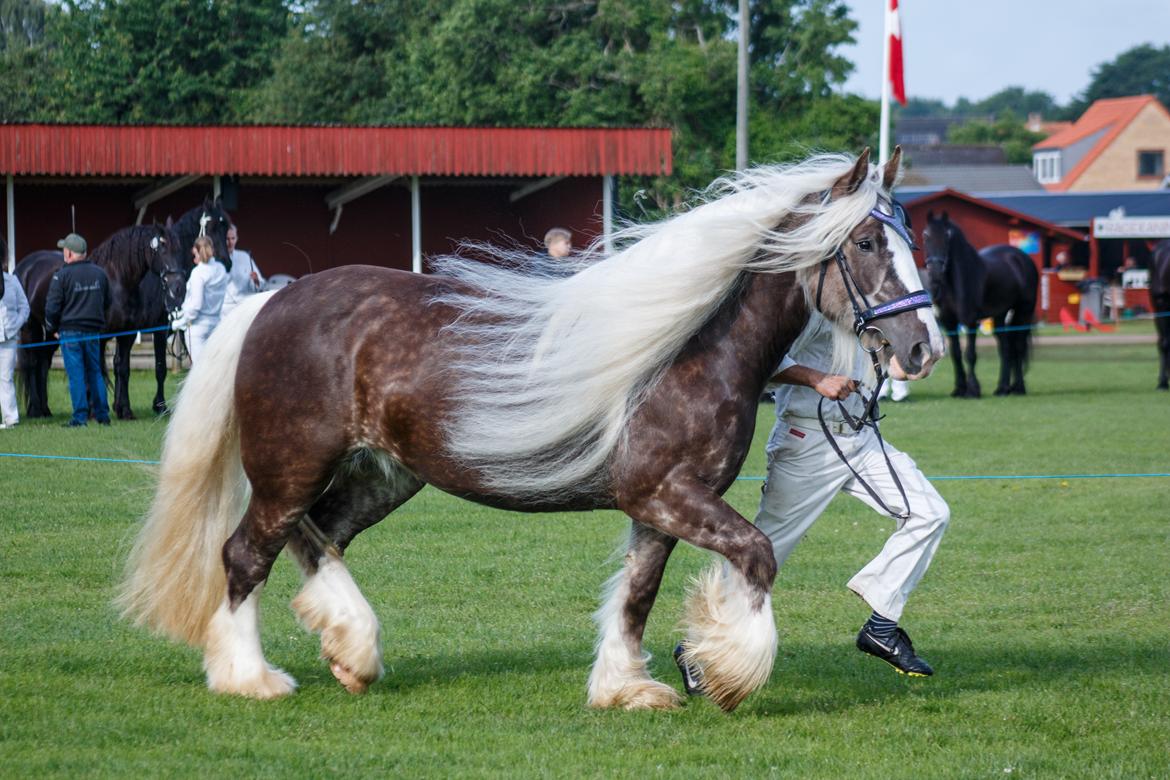 Tinker Silver dream billede 20