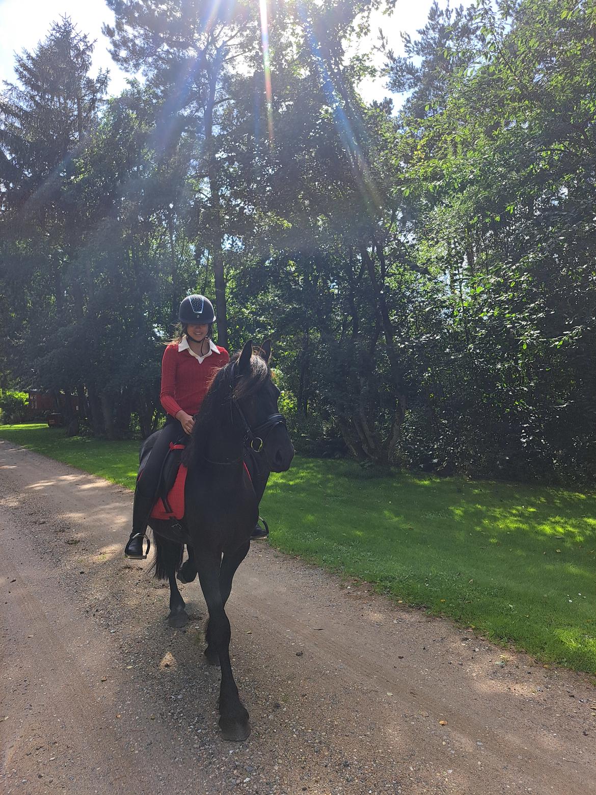 Frieser Højlund's Zafira billede 13