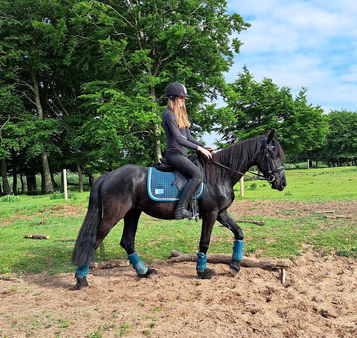 Frieser Højlund's Zafira billede 17