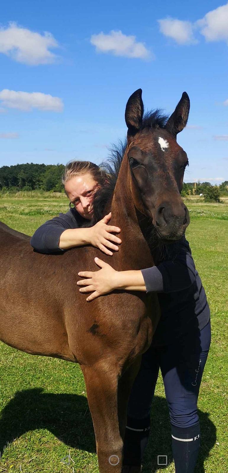 Anden særlig race Kirsebærgårdens Le Alina billede 12