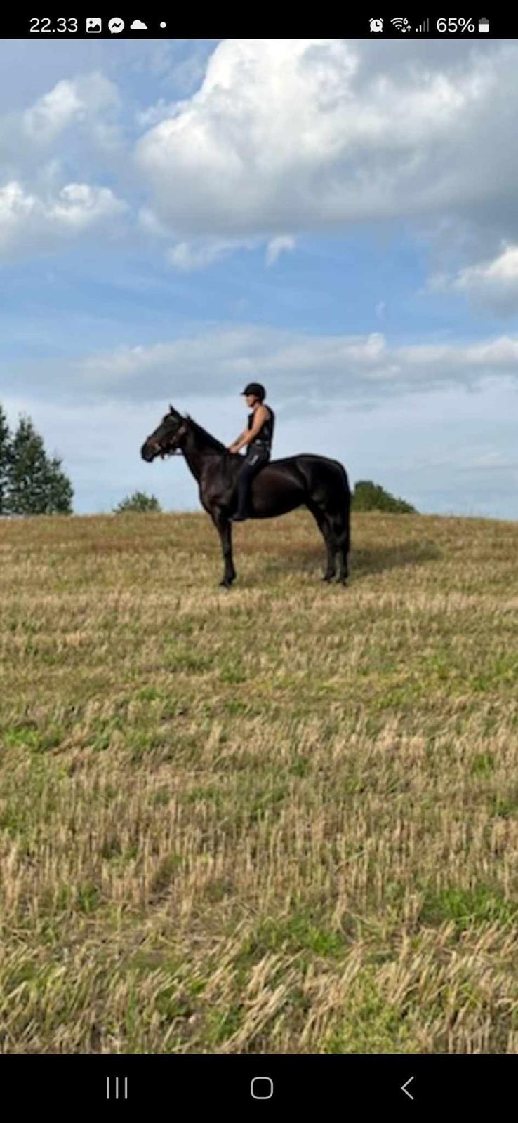 Anden særlig race Sandrina Hit Vad billede 1