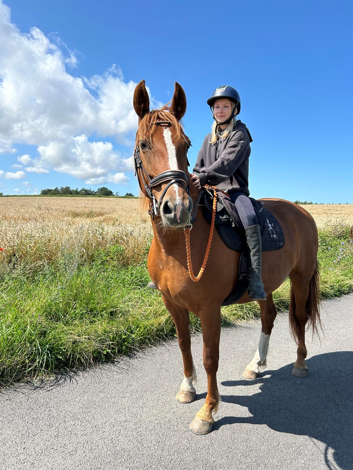 Frederiksborg Vestergårds Cimmy  billede 4