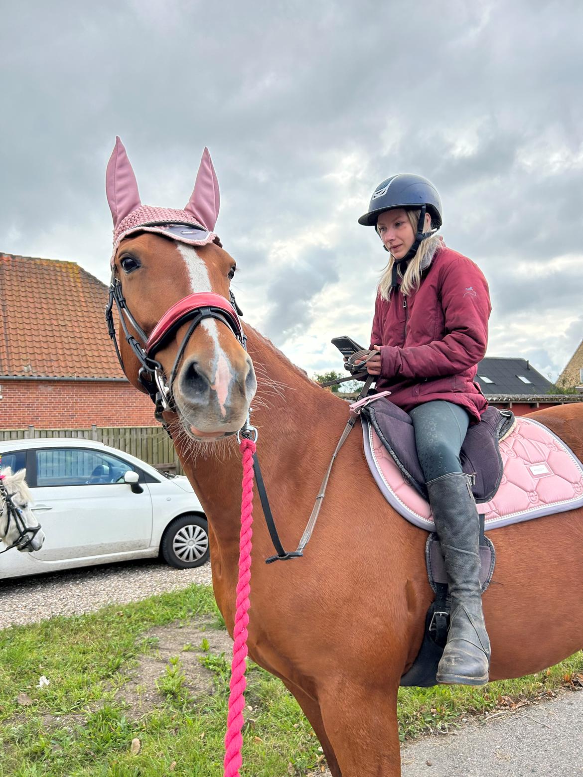 Frederiksborg Vestergårds Cimmy  billede 13