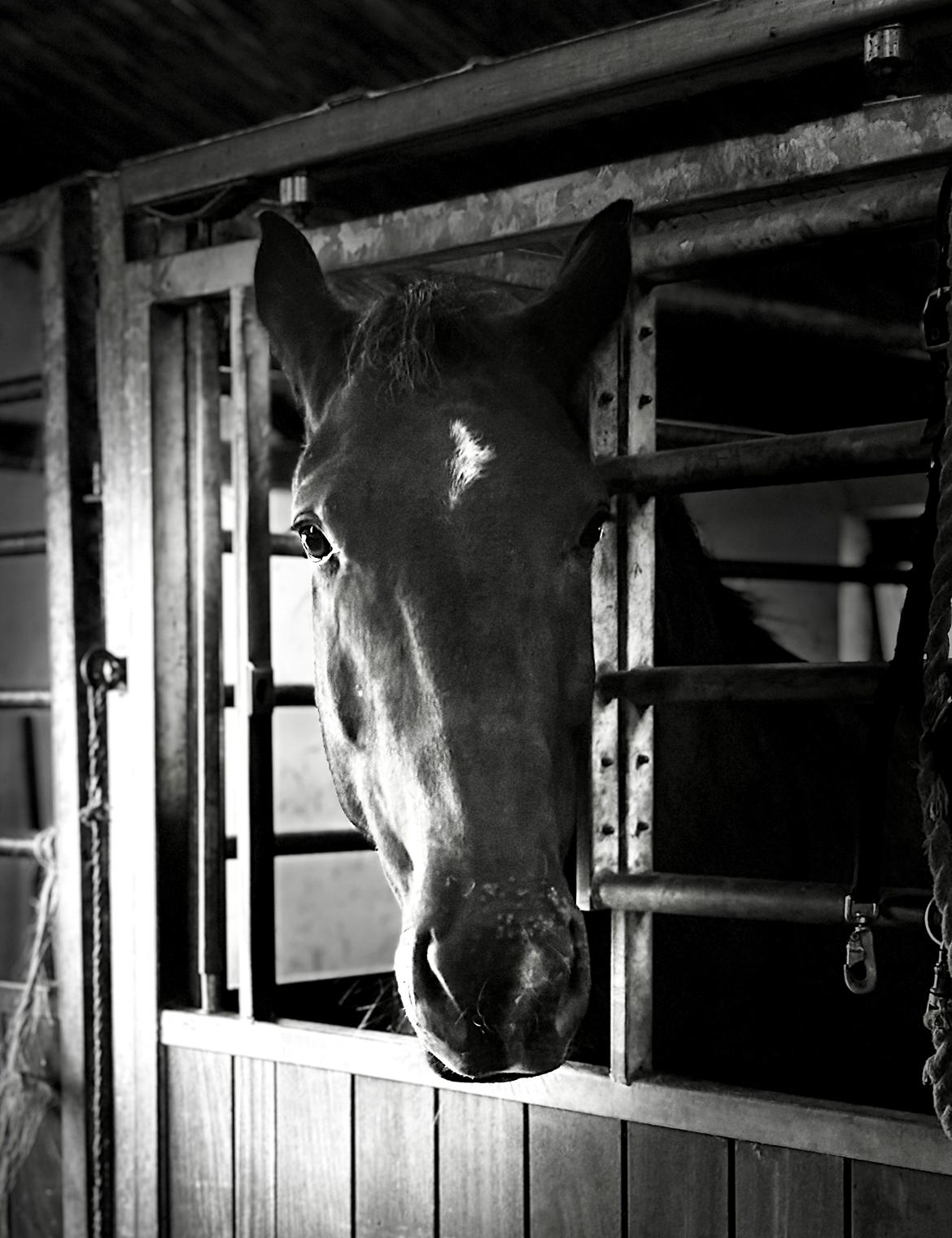 Oldenborg Clement Fjellerup ( Olli) billede 18