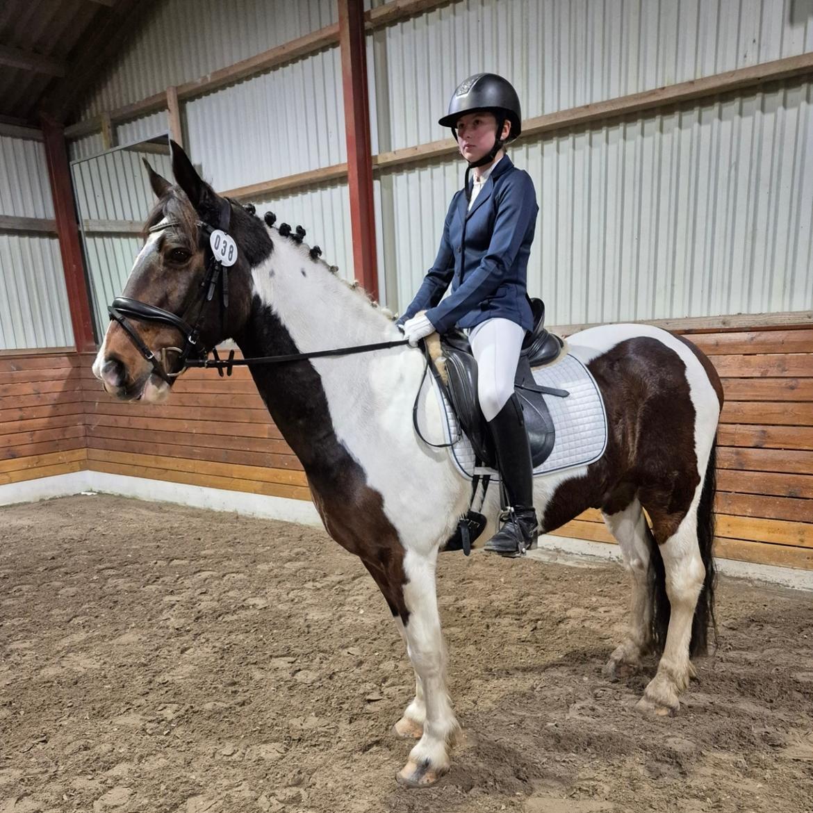 Anden særlig race Huxi  billede 18