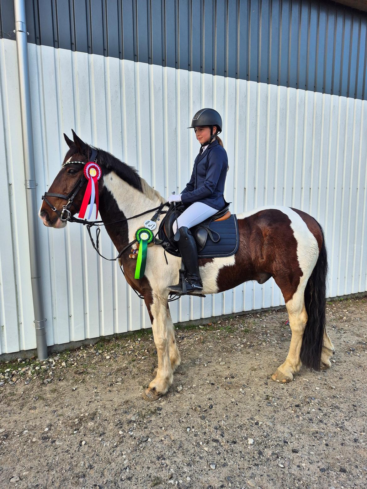 Anden særlig race Huxi  billede 21