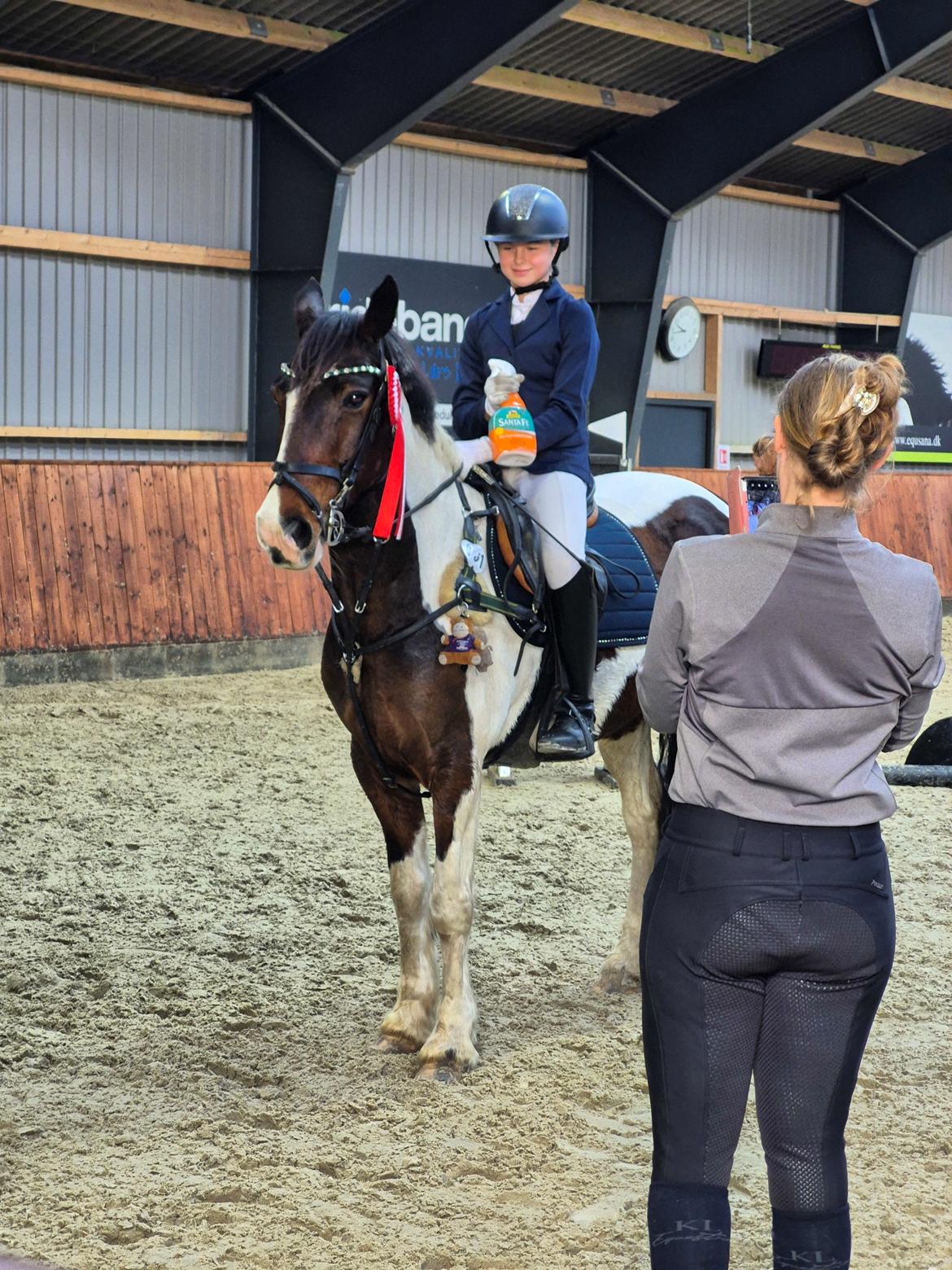 Anden særlig race Huxi  billede 22