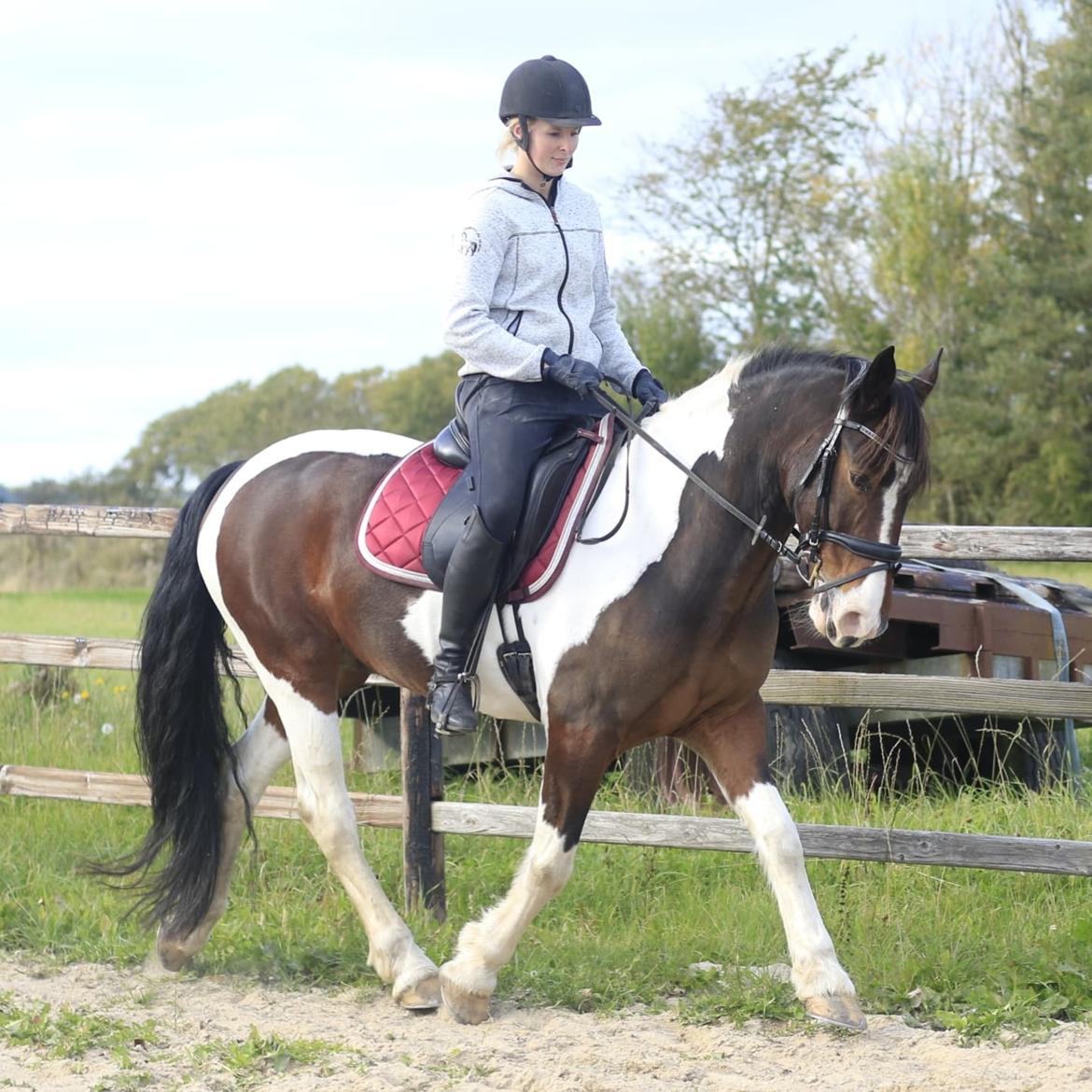 Anden særlig race Huxi  billede 26