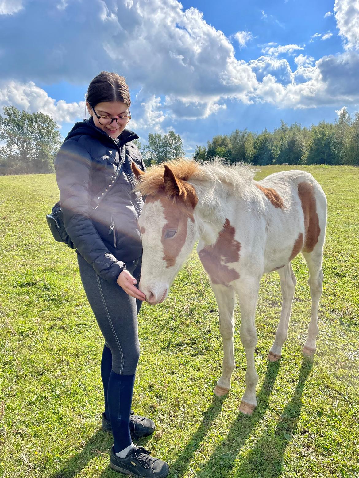 Pinto Bakkegårdens Kastania - Første møde da hun var 4 måneder gammel billede 2