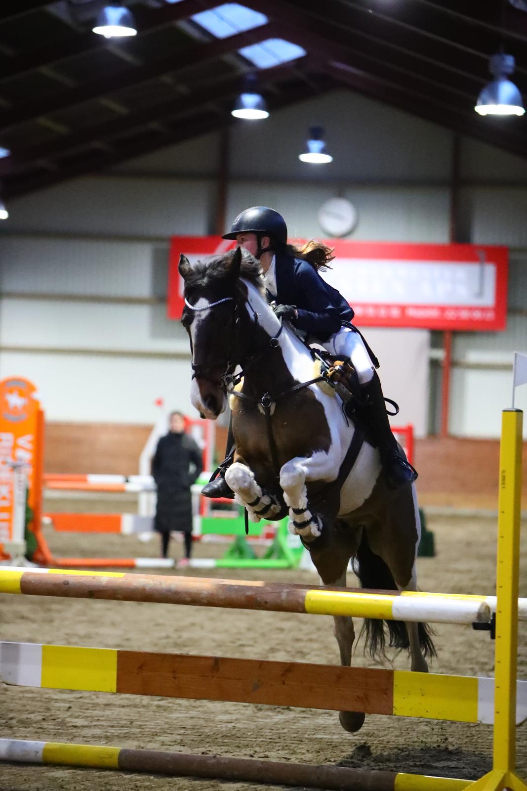 Anden særlig race Huxi  billede 27