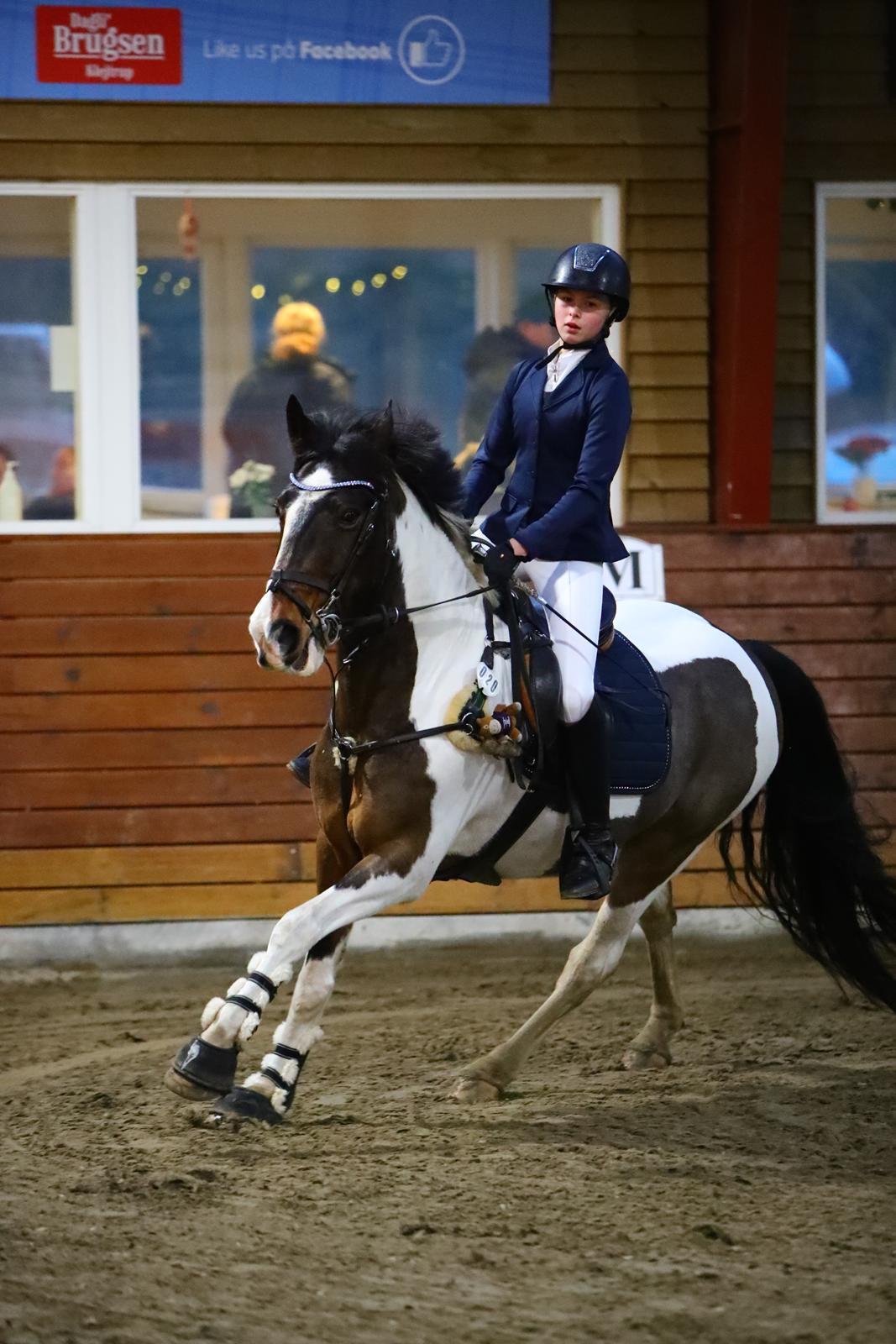 Anden særlig race Huxi  billede 28