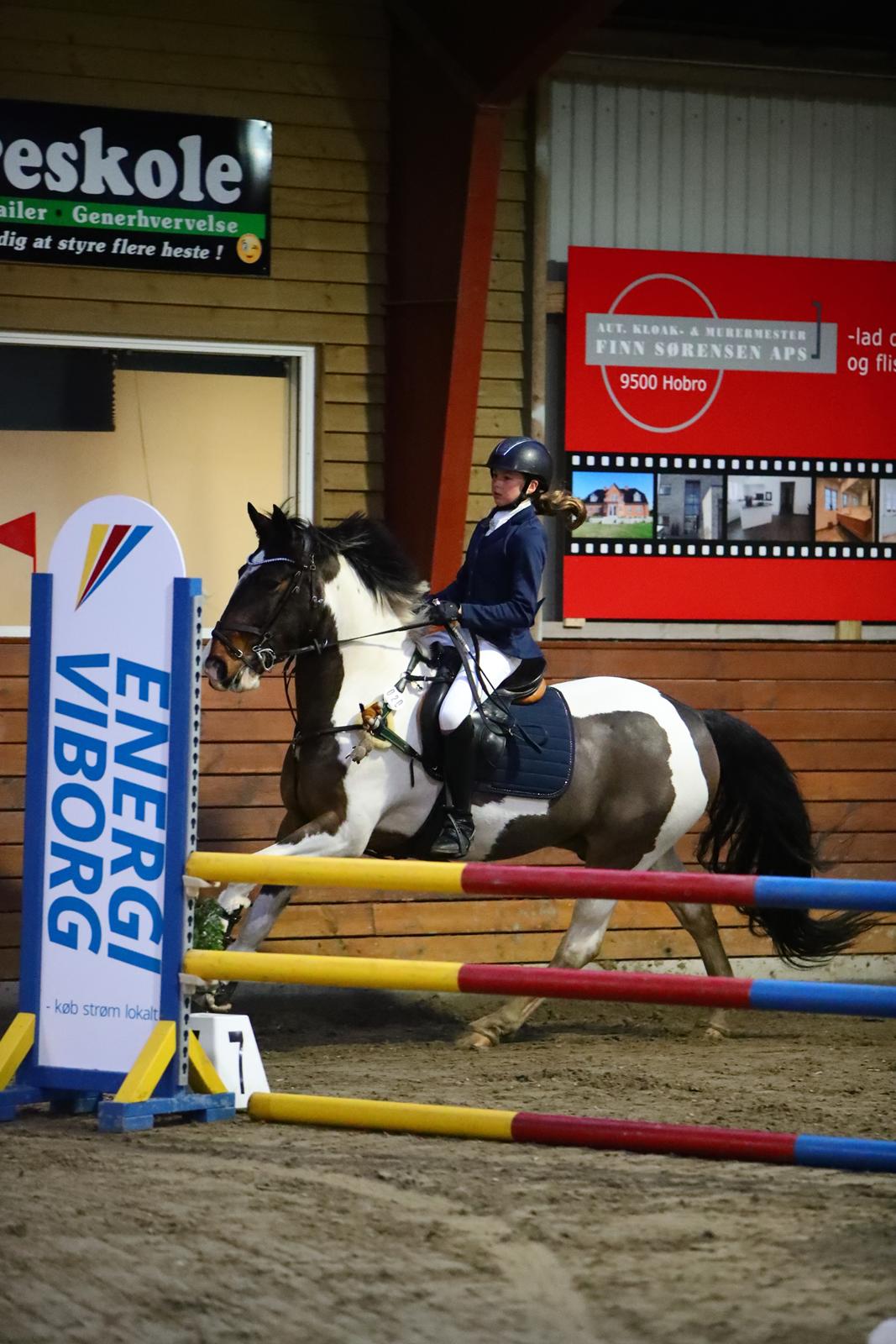 Anden særlig race Huxi  billede 29