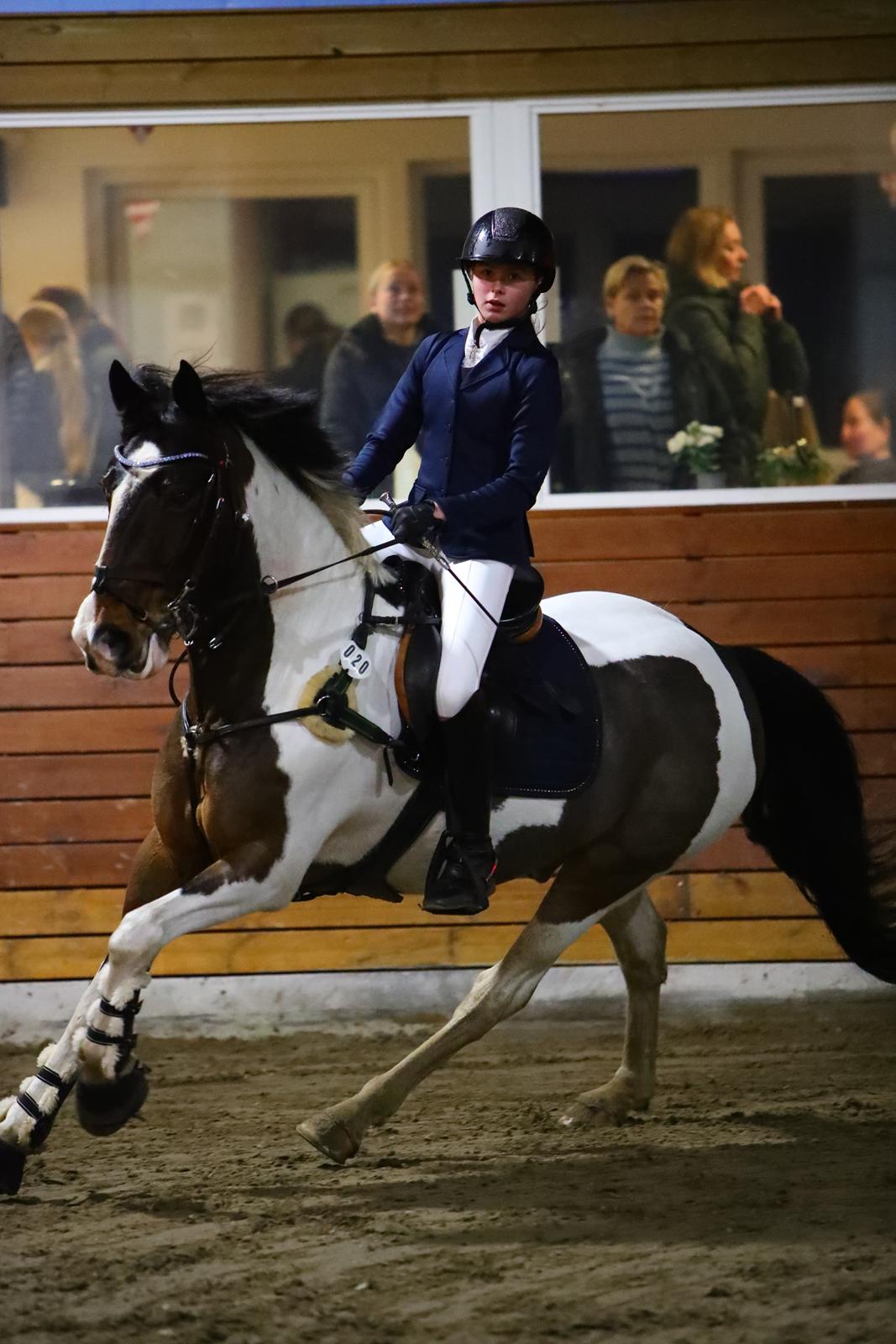 Anden særlig race Huxi  billede 30