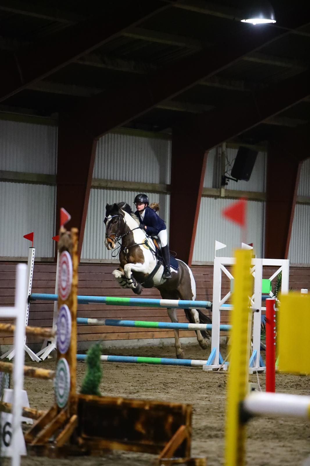 Anden særlig race Huxi  billede 32