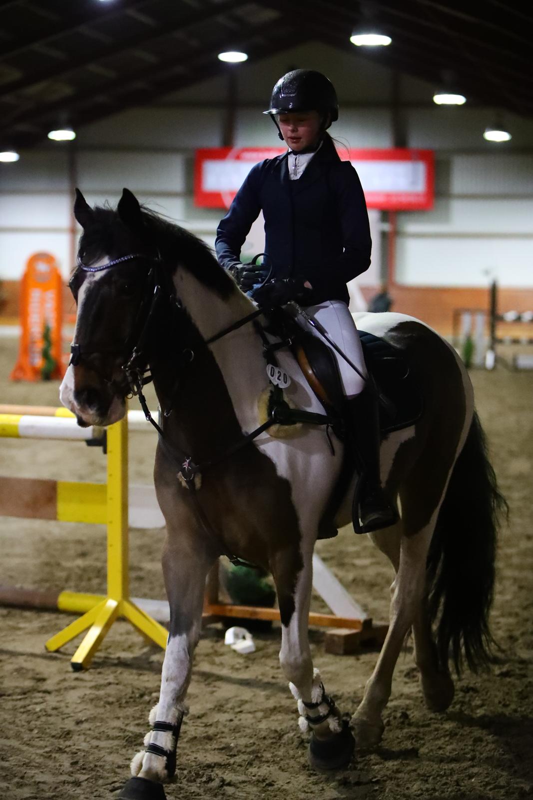 Anden særlig race Huxi  billede 34