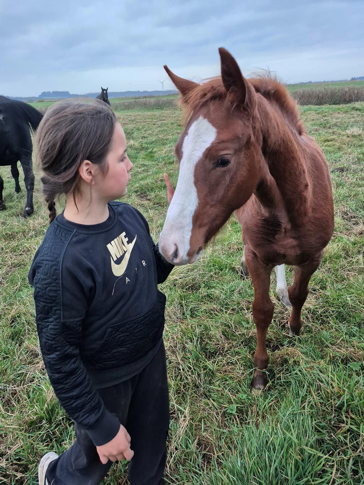 Oldenborg Whasti billede 4