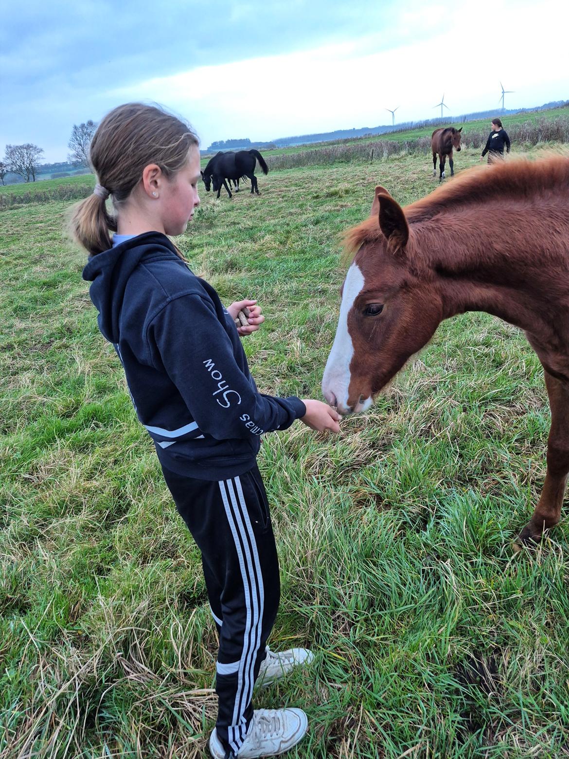 Oldenborg Whasti billede 5