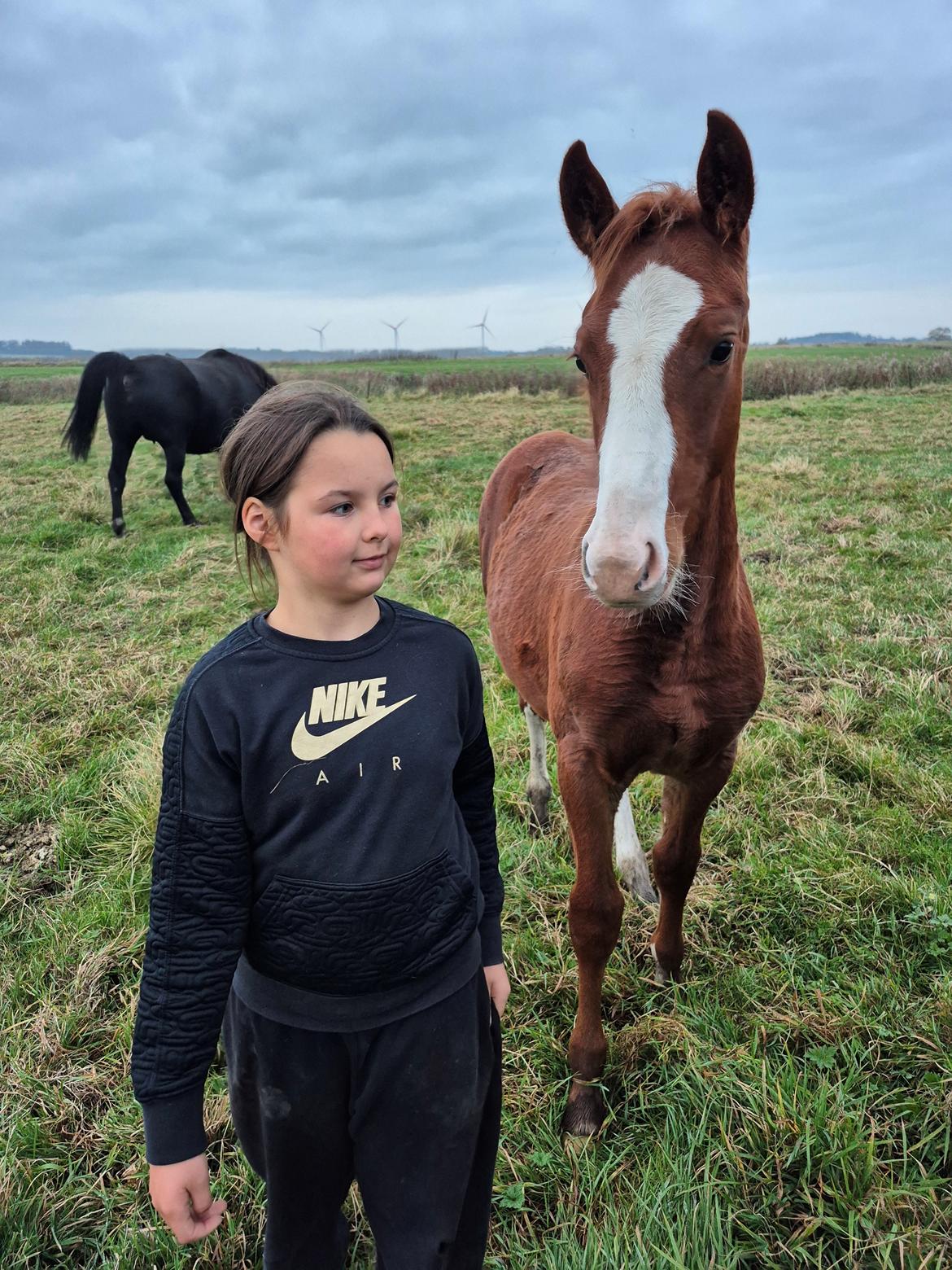 Oldenborg Whasti billede 6