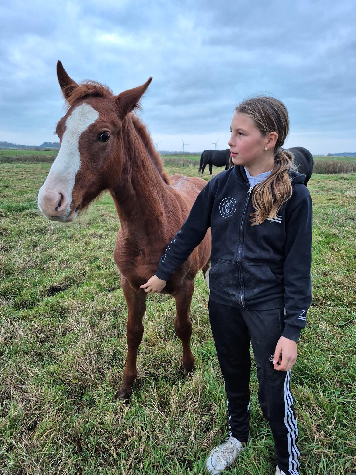 Oldenborg Whasti billede 7