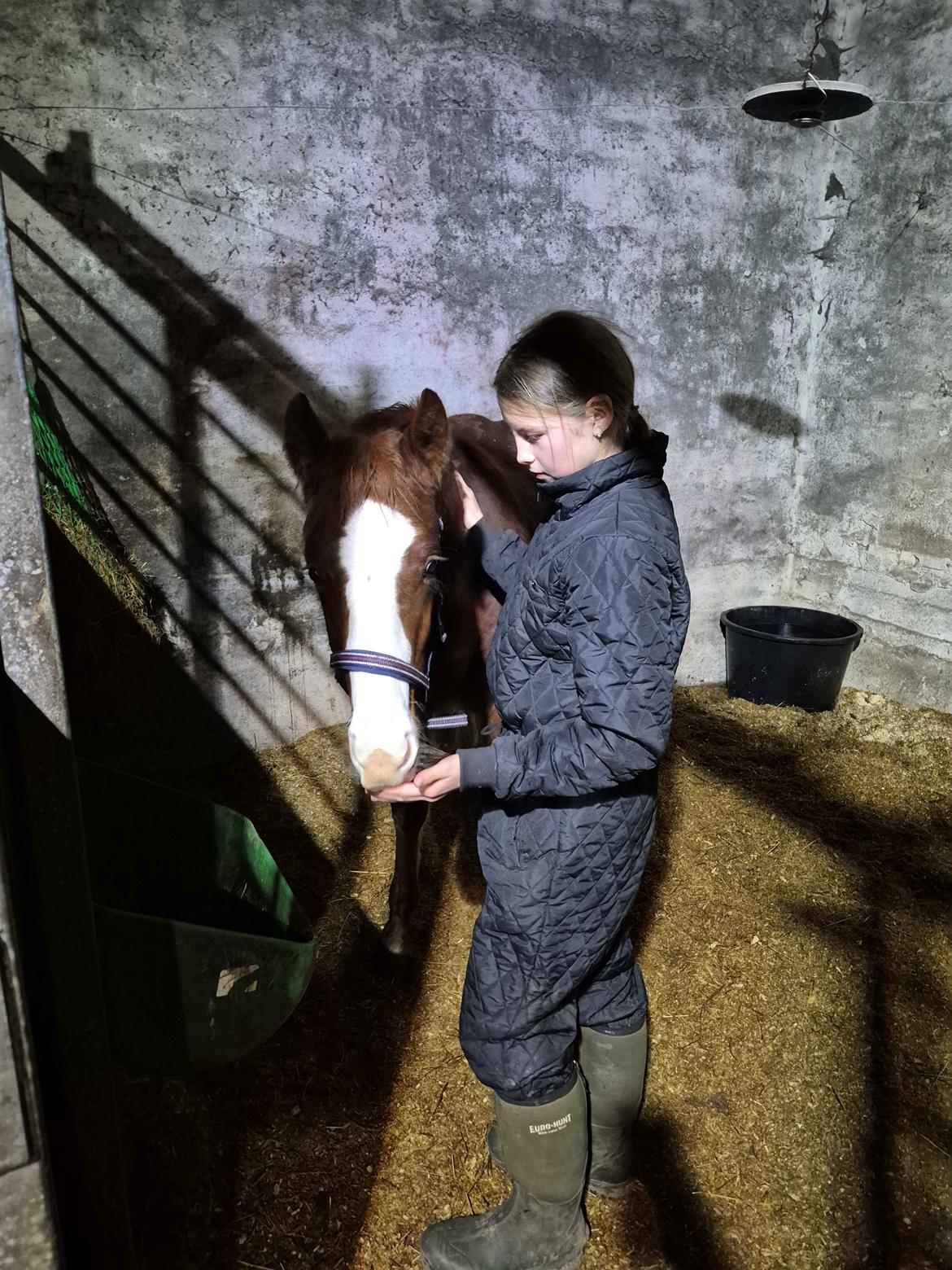 Oldenborg Whasti billede 9