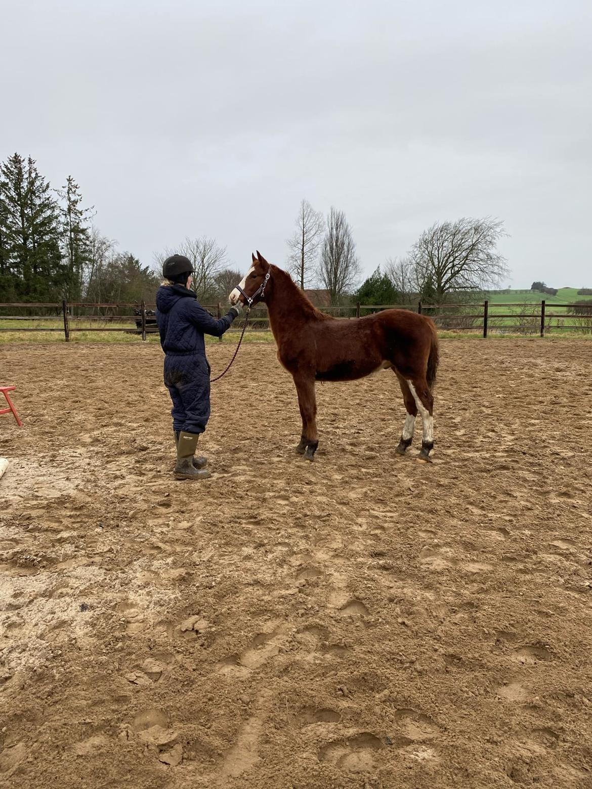 Oldenborg Whasti billede 15