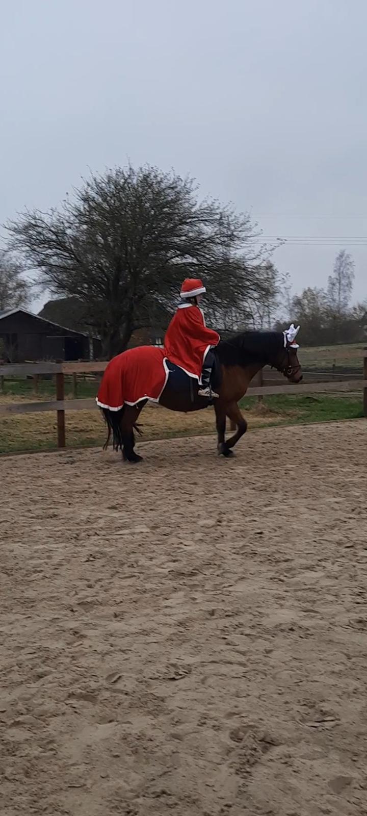 Anden særlig race Kallestrups inaya o'shar - Hygeligt billede 9
