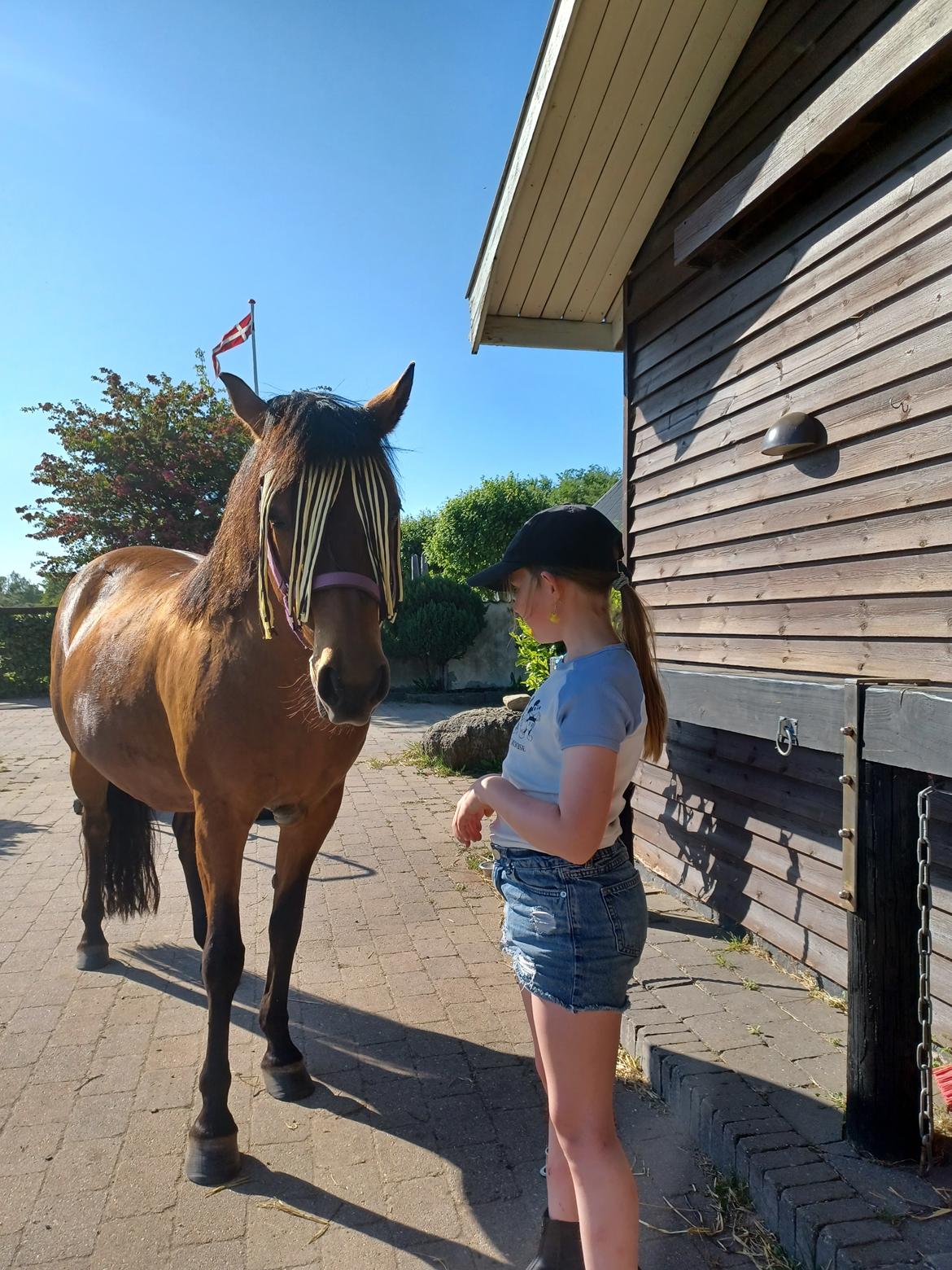 Anden særlig race Kallestrups inaya o'shar - kliger træning  billede 10