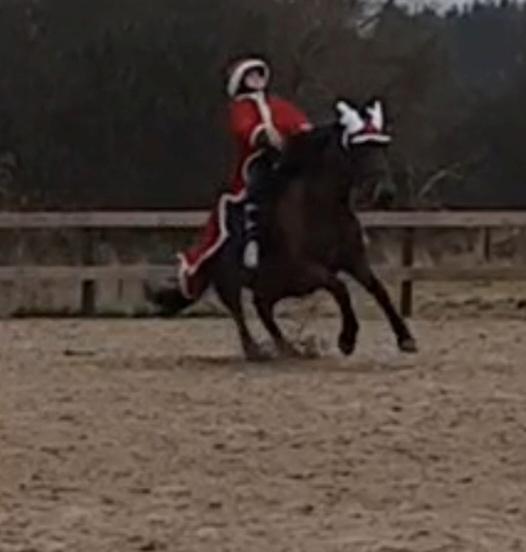 Anden særlig race Kallestrups inaya o'shar - Så smed hun mig af  billede 13