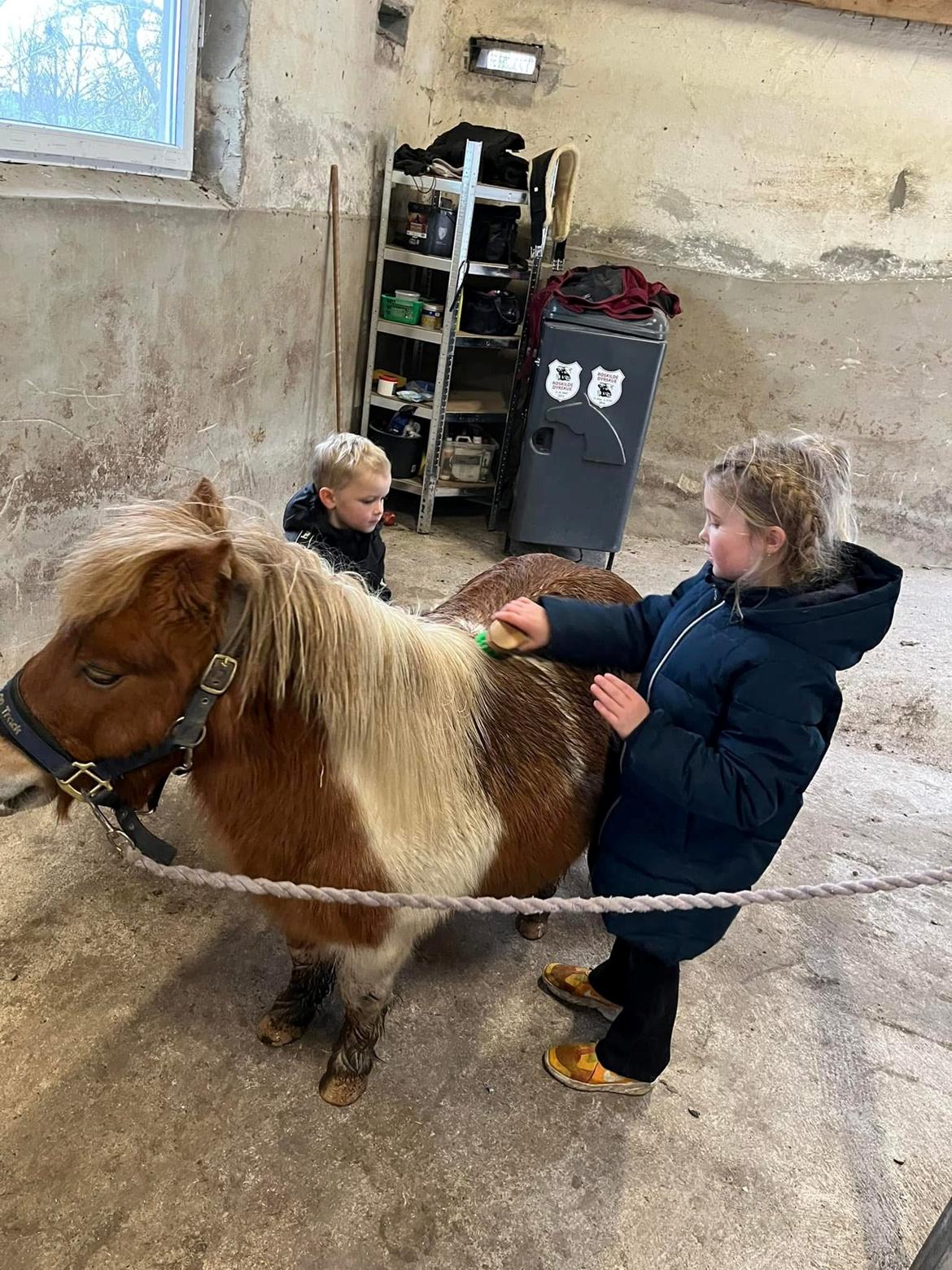 Anden særlig race Supermand billede 6