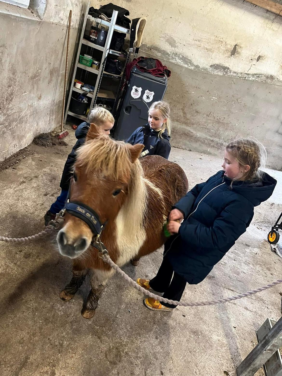 Anden særlig race Supermand billede 2