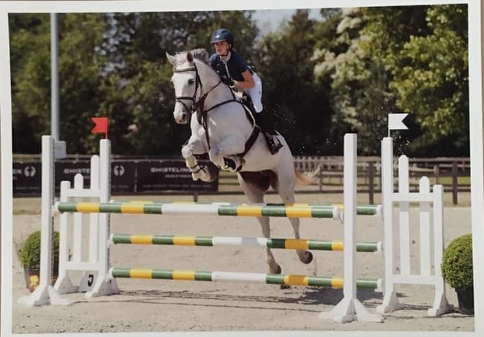 Hollandsk Varmblod Ematerma billede 8