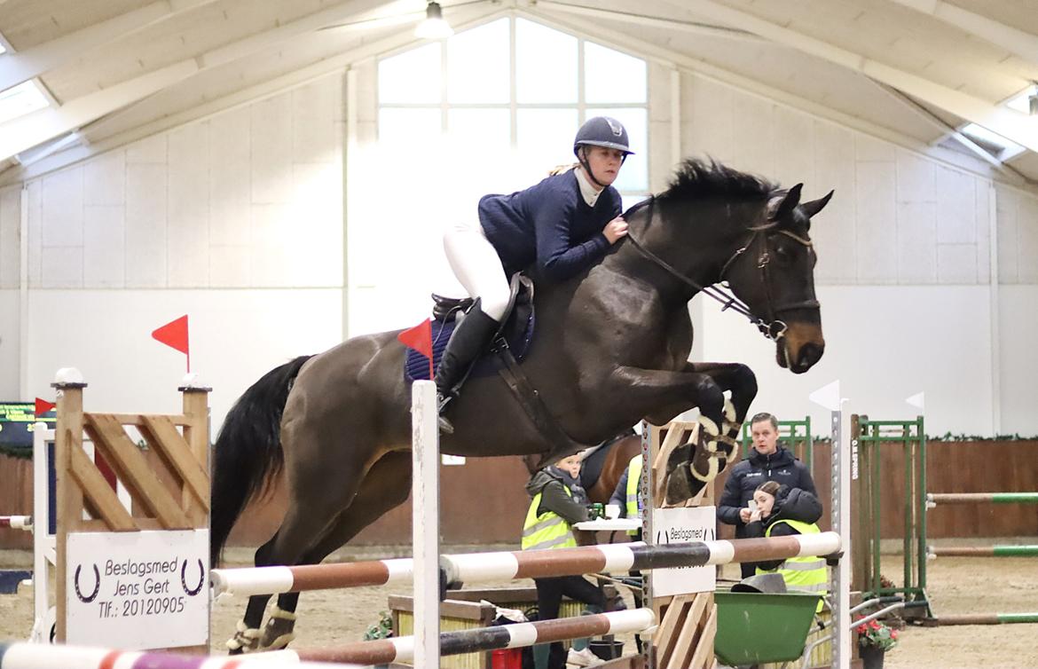 Holstener Catoona billede 9