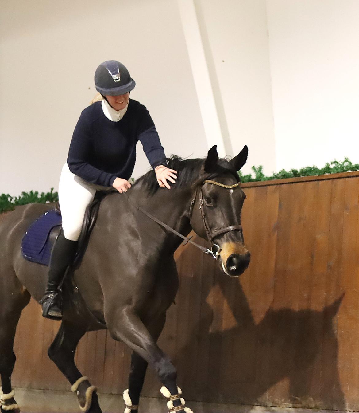 Holstener Catoona billede 8