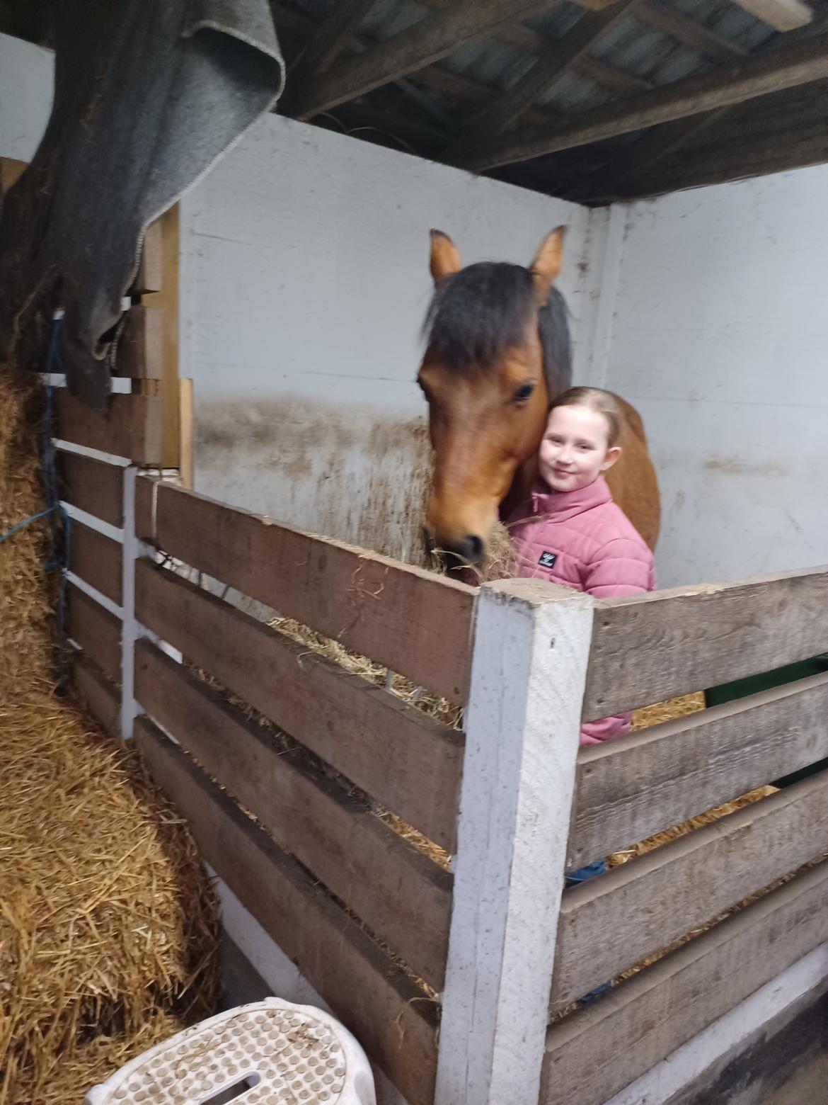 Anden særlig race Kallestrups inaya o'shar - Det er min bedste ven  billede 17