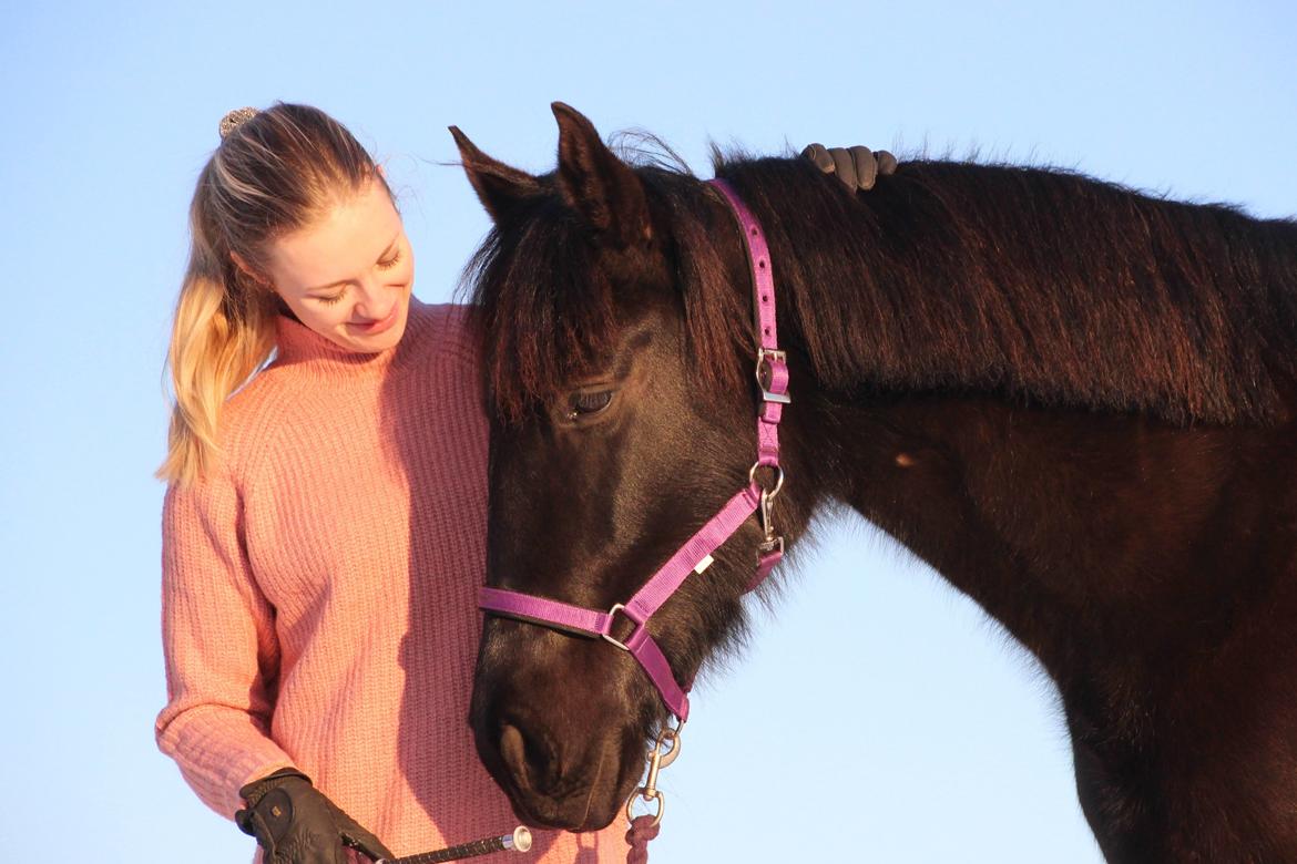 Pura Raza Española Joya MAR  billede 17