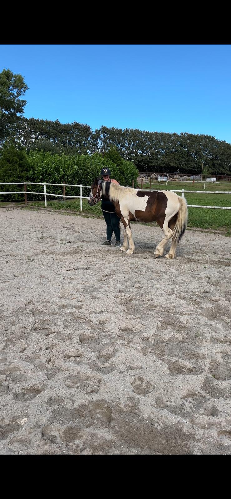 Tinker Ahlmann's brown girl tessa ( Solgt)  billede 3