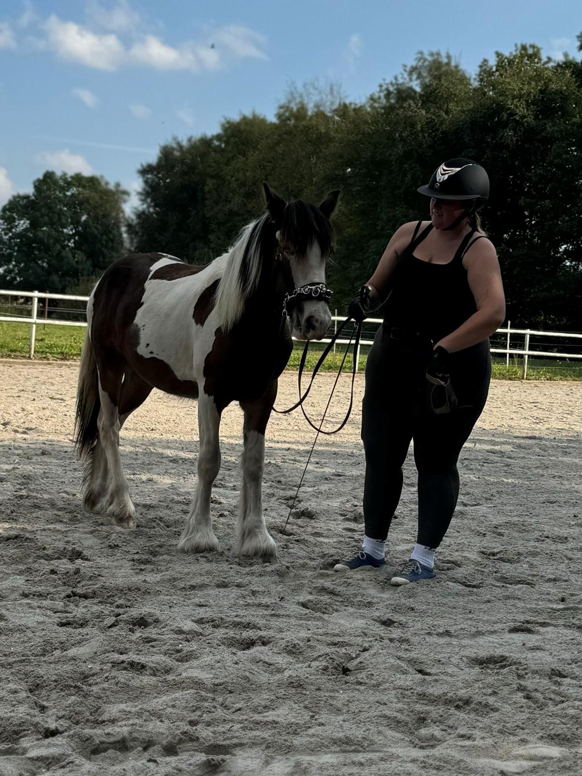 Tinker Ahlmann's brown girl tessa ( Solgt)  billede 6