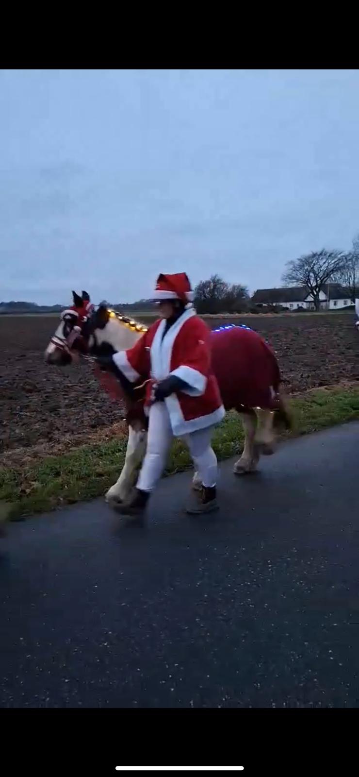 Tinker Ahlmann's brown girl tessa ( Solgt)  billede 9