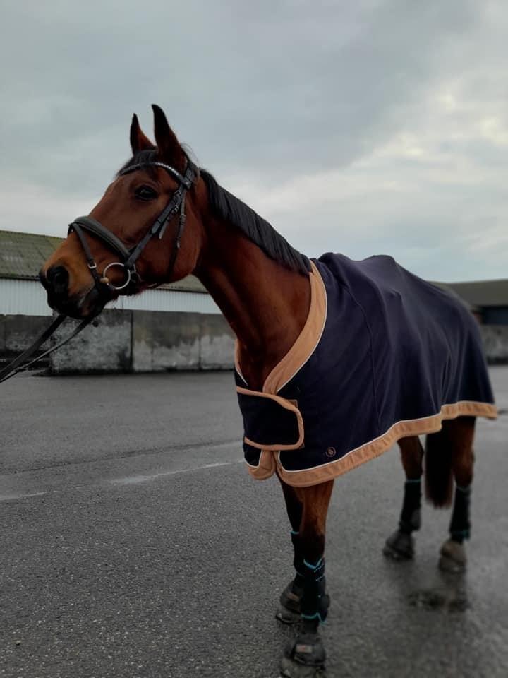 Traver Shiraz billede 7